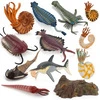 Custom Prehistoric Sea Life Animals Model Doll Action Figures